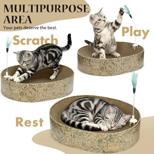 ARGOPET Oval Cat Scratcher Bed with Toy | 43cm (17in) Curved Cardboard Lounger for Indoor Cats thumbnail 6