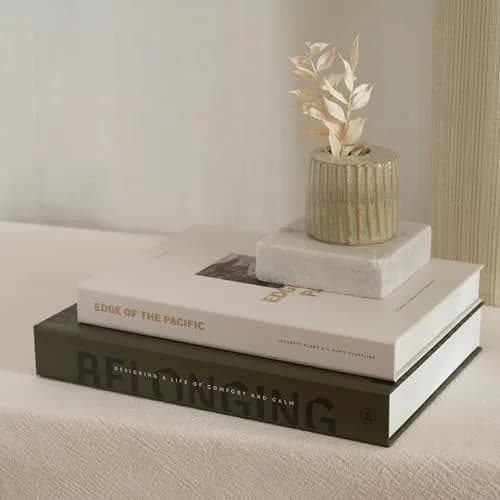 ZICOTO Decorative Books Set of 2 | Modern Home Accent for Coffee Table & Shelf thumbnail 9