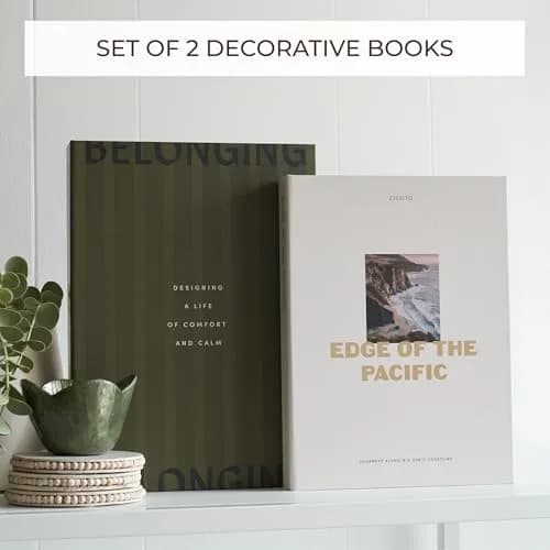 ZICOTO Decorative Books Set of 2 | Modern Home Accent for Coffee Table & Shelf thumbnail 3