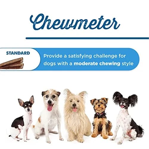 Best Bully Sticks Braided Bully Sticks Dog Chews, 12" | Natural, Long-Lasting Protein Treat thumbnail 4