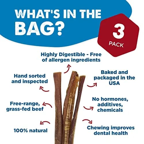 Best Bully Sticks Braided Bully Sticks Dog Chews, 12" | Natural, Long-Lasting Protein Treat thumbnail 2