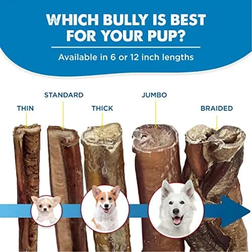 Best Bully Sticks 50 Count 12 Inch Dog Chews | Natural, Grass-Fed Beef, Grain-Free (70-120 chars) thumbnail 6