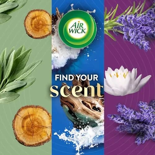 Air Wick Vibrant Plug In Scented Oil Refills Sweet Vanilla & Shea Butter 2.69ml (0.67 Fl Oz) 4-Pack | Infused with 2x More Essential Oils thumbnail 7