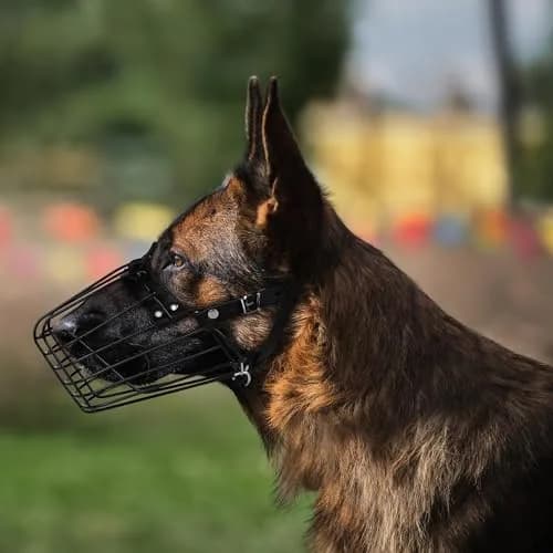 BUDKAS German Shepherd Dog Muzzle Metal Basket Size L | Adjustable Durable Leather Straps thumbnail 4