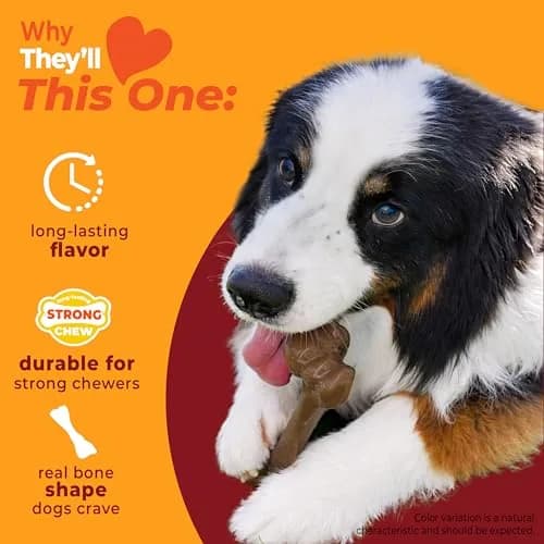 Nylabone Strong Chew Femur Bone Dog Toy with Real Bison & Venison Flavor, Large 4.5" (11.4 cm) thumbnail 3