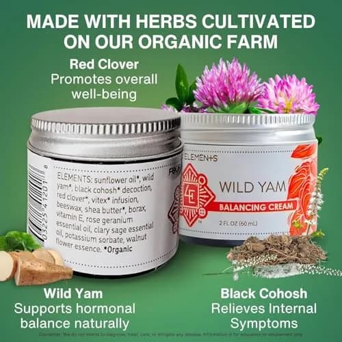 Four Elements 4E Wild Yam Balancing Cream 4 oz (2 x 2 oz) | Award-Winning Herbal Cream with Yam Root, Black Cohosh, Red Clover thumbnail 2