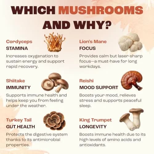 RYZE Organic Mushroom Coffee Starter Kit Medium Roast 12.7 oz (360 g) | 6 Adaptogenic Mushrooms for Energy & Focus thumbnail 5