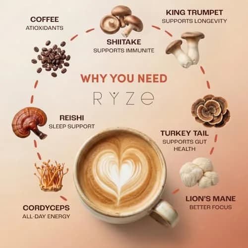 RYZE Organic Mushroom Coffee Starter Kit Medium Roast 12.7 oz (360 g) | 6 Adaptogenic Mushrooms for Energy & Focus thumbnail 3