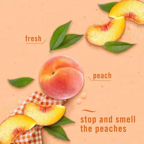 Febreze Bathroom Air Freshener Lilac & Peach Scents 4ct | Odor Fighting Plug-In Alternative for Small Spaces thumbnail 4