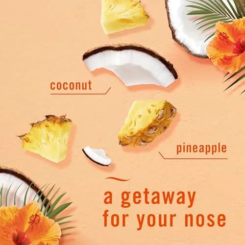 Febreze Bathroom Air Freshener Hawaiian Aloha Scent 4ct | Odor-Fighting Plug-In Alternative for Small Spaces thumbnail 3