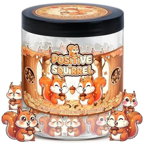 DEARMINE Positive Squirrel Jar with 60 Daily Affirmation Cards | Cute Squirrel Christmas Decor — Positive Squirrel
