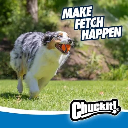 Chuckit! Ultra Ball Dog Toy - Medium 6.4 cm (2.5 inch) Diameter, Pack of 6 | High Bounce Fetch Balls for Dogs 20-60 lbs thumbnail 2
