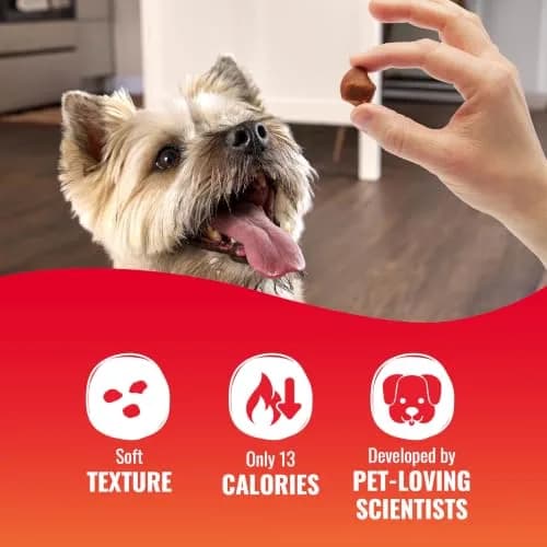 Good ‘N’ Tasty Kabob Bites Dog Treats 18 oz | Soft & Chewy, Triple-Protein, No Artificial Flavors thumbnail 4
