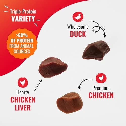 Good ‘N’ Tasty Kabob Bites Dog Treats 18 oz | Soft & Chewy, Triple-Protein, No Artificial Flavors thumbnail 2