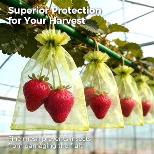 Sukh Fruit Protection Bags 4"x6" | Mesh Organza Fruit Cover for Tomatoes & Grapes, Reusable thumbnail 6