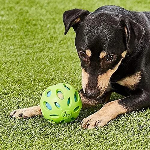 JW Petmate Crackle Heads Crackle Ball Crunchy Noise Chew Toy for Dogs Assorted Colors, Medium 3' Diameter | Durable & Safe Chew Toy thumbnail 2