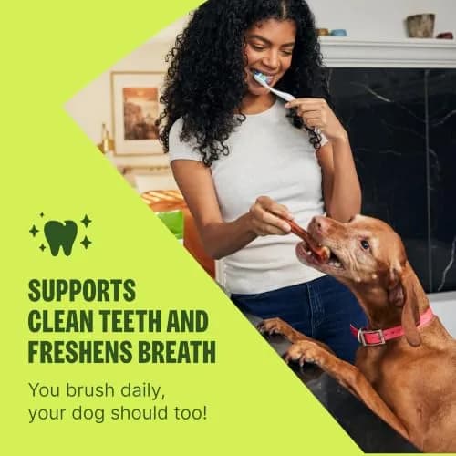 Whimzees Natural Dog Dental Treat XS 4.2 oz (119 g) | VOHC Accepted Chews for Clean Teeth & Fresh Breath thumbnail 4