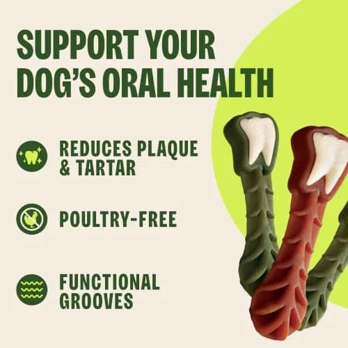Whimzees Brushzees Natural Dog Dental Treat Medium Size 4 Count | VOHC Accepted Chews for Dogs thumbnail 5