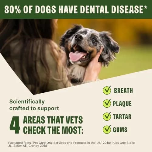 Whimzees Brushzees Natural Dog Dental Treat Medium Size 4 Count | VOHC Accepted Chews for Dogs thumbnail 6