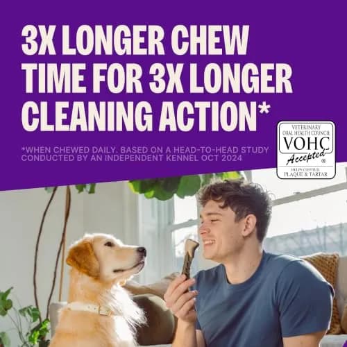Whimzees Brushzees Natural Dog Dental Treat Small Size 4.2 oz (119 g) Bag, 8 Count | VOHC Accepted Chews for Daily Dental Care thumbnail 2