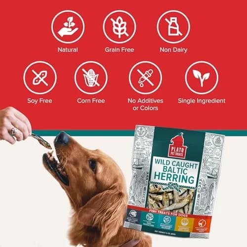 PLATO Fish Dog Treats Wild Caught Baltic Herring 8.5 oz | Natural Omega-3 Support thumbnail 6