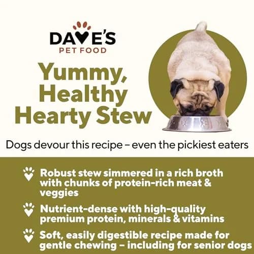 Dave's Pet Food Wet Canned Dog Food, Chunky Chicken Stew in Gravy, 13.2oz | Supports digestion & immune health thumbnail 2