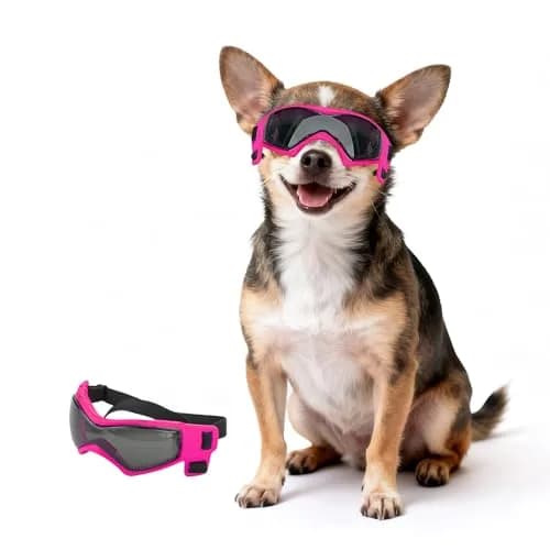 PETLESO Pink Dog Goggles for Small Breeds & Cats | 3.74 in Length, 1.38 in Width thumbnail 1