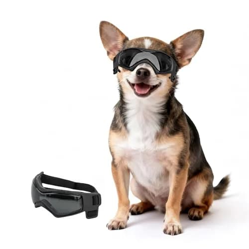 PETLESO Black XS Dog Goggles | UV Protection for Small Breeds & Cats (3.74" L x 1.38" W) thumbnail 1