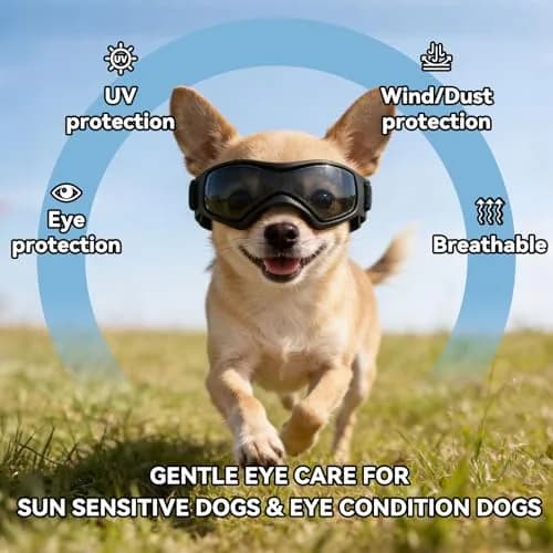 PETLESO Black XS Dog Goggles | UV Protection for Small Breeds & Cats (3.74" L x 1.38" W) thumbnail 4