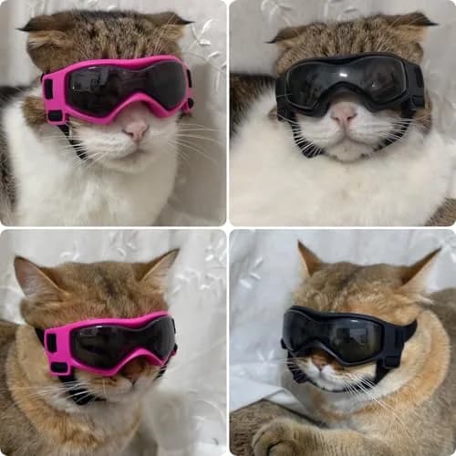 PETLESO Black XS Dog Goggles | UV Protection for Small Breeds & Cats (3.74" L x 1.38" W) thumbnail 2