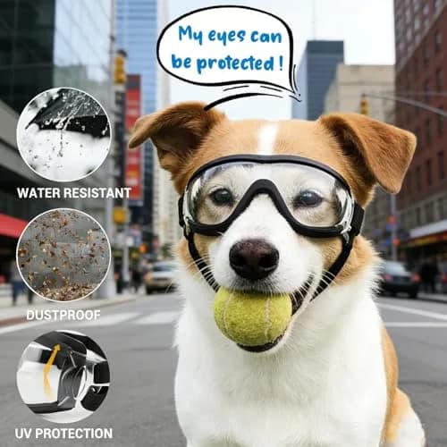 Enjoying Ultra Clear Dog Goggles for Large Breeds | UV Protection, Windproof & Adjustable thumbnail 4
