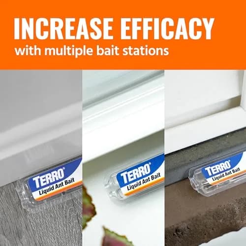 TERRO T300-3SR Liquid Ant Baits – 108 Bait Stations | EPA Registered Pesticide thumbnail 9