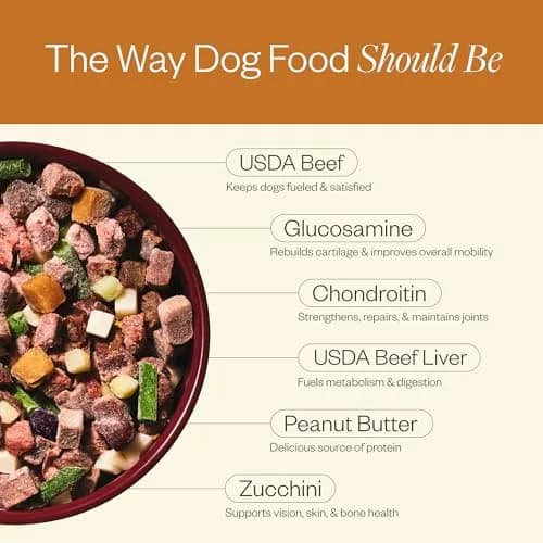Maev Human-Grade Frozen Beef Dog Food, Hip & Joint Support, 5 lb | Supports Mobility & Inflammation thumbnail 4