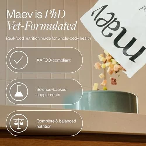 Maev Human-Grade Frozen Beef Dog Food, Hip & Joint Support, 5 lb | Supports Mobility & Inflammation thumbnail 9