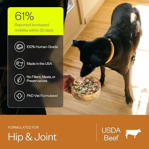 Maev Human-Grade Frozen Beef Dog Food, Hip & Joint Support, 5 lb | Supports Mobility & Inflammation thumbnail 3