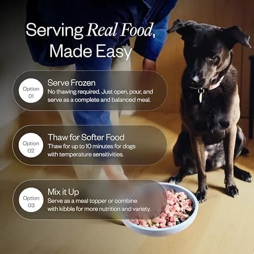 Maev Human-Grade Frozen Beef Dog Food 15 lb | Calming & Anxiety Support with Real Beef thumbnail 5