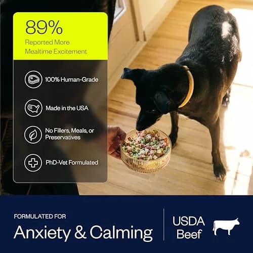 Maev Human-Grade Frozen Beef Dog Food 15 lb | Calming & Anxiety Support with Real Beef thumbnail 3