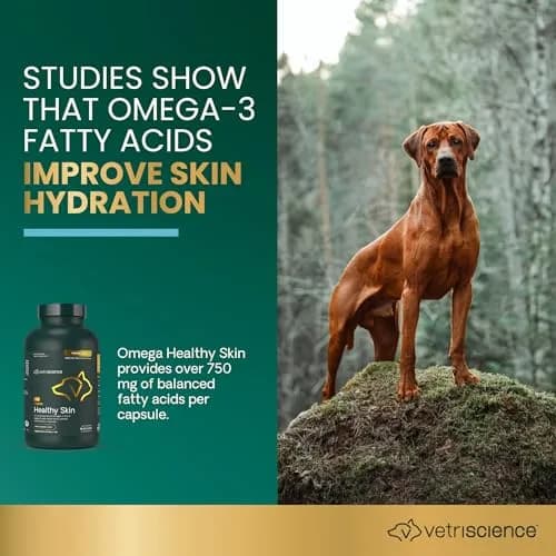 VetriScience Omega Healthy Skin Capsules 180 Count (90 Chews x 2) | Fish Oil Supplement for Dogs & Cats with 750mg Omega Fatty Acids thumbnail 2