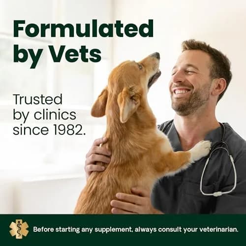 VetriScience Extra Strength Healthy Hip & Joint Chews for Dogs, GlycoFlex 3, 240 Chews (Pack of 2) | Advanced Joint Support for Mobility & Recovery thumbnail 9