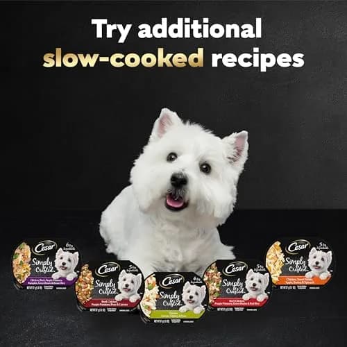 Cesar Simply Crafted Adult Wet Dog Food Toppers for Dry Food, Chicken, 1.3 oz Tub | Real Chicken & Natural Ingredients thumbnail 8