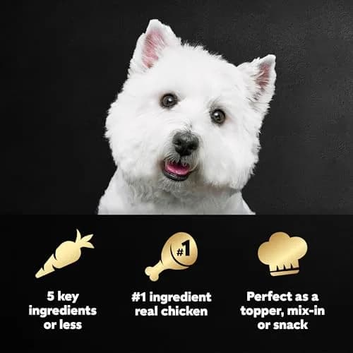 Cesar Simply Crafted Adult Wet Dog Food Toppers for Dry Food, Chicken, 1.3 oz Tub | Real Chicken & Natural Ingredients thumbnail 2