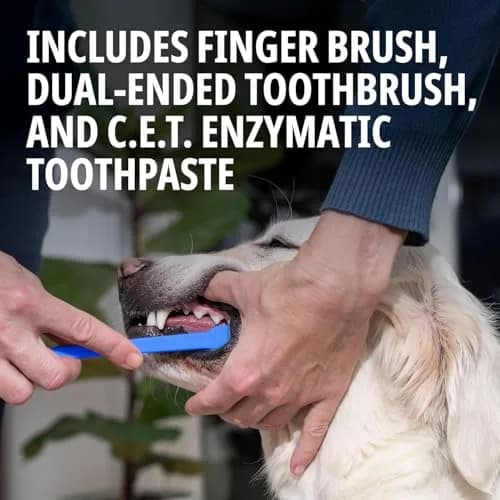 Virbac C.E.T. Oral Hygiene Kit for Dogs & Cats | Poultry Flavor Toothpaste & 2 Brushes (Pack of 2) | Vet-Recommended Dental Care thumbnail 5