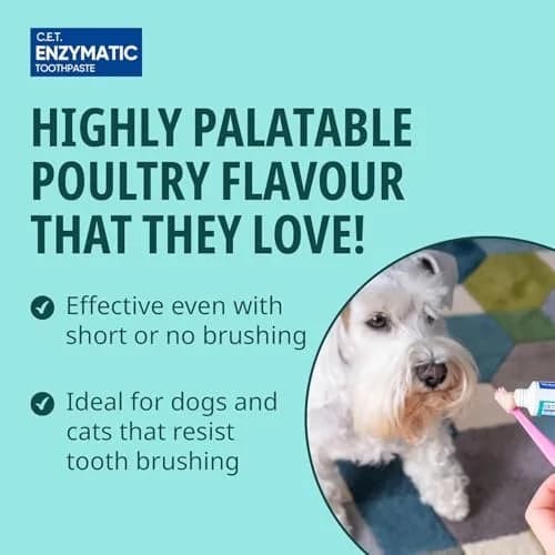 Virbac C.E.T. Oral Hygiene Kit for Dogs & Cats | Poultry Flavor Toothpaste & 2 Brushes (Pack of 2) | Vet-Recommended Dental Care thumbnail 3