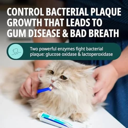 Virbac C.E.T. Oral Hygiene Kit for Dogs & Cats | Poultry Flavor Toothpaste & 2 Brushes (Pack of 2) | Vet-Recommended Dental Care thumbnail 4