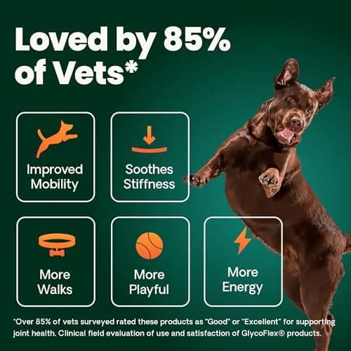 VetriScience Healthy Hip & Joint Chews for Cats, GlycoFlex Glucosamine & Green-Lipped Mussel, 240 Chews | Joint Support & Mobility for Cats thumbnail 5