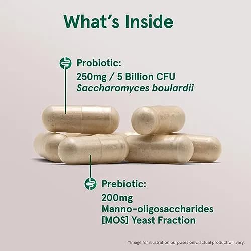 Jarrow Formulas Saccharomyces Boulardii + MOS Probiotic 5 Billion CFU 360 Count (Pack of 2) | Digestive Health Support thumbnail 3