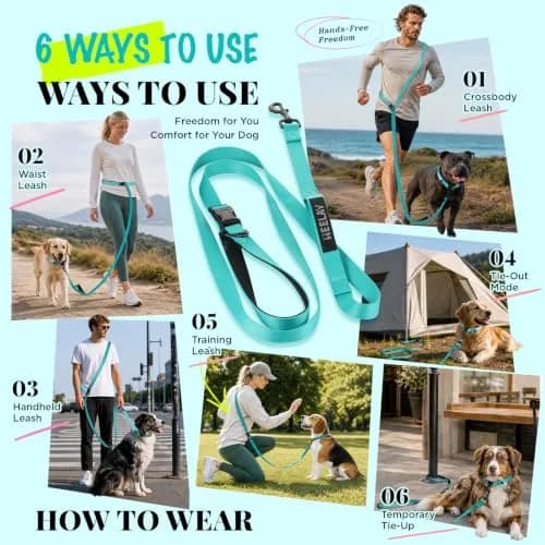 Heelay Hands Free Dog Leash 2.5m (8.2ft) Teal | Adjustable Crossbody Rope for Medium Dogs thumbnail 6