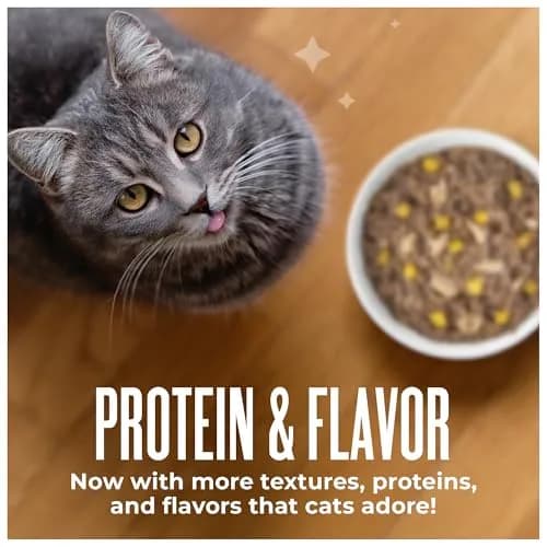 Tiki Cat Wet Cat Food Mega Pack, Seafood Selects Variety Pack, 2.8 oz (36) | Protein-Rich, Grain-Free, Hydrating for Cats thumbnail 7