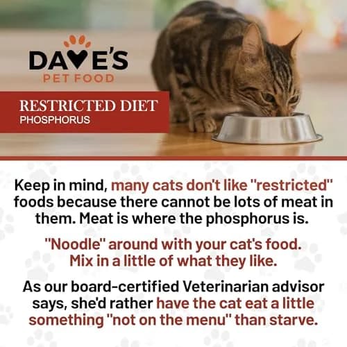Dave's Pet Food Non Prescription Renal Cat Food Variety Pack 3 oz | Kidney Support with Quality Proteins thumbnail 7