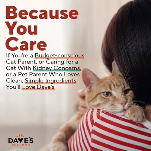 Dave's Pet Food Non Prescription Renal Cat Food Variety Pack 3 oz | Kidney Support with Quality Proteins thumbnail 8